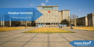Tsinghua University MiM - Sample Essays & LOR